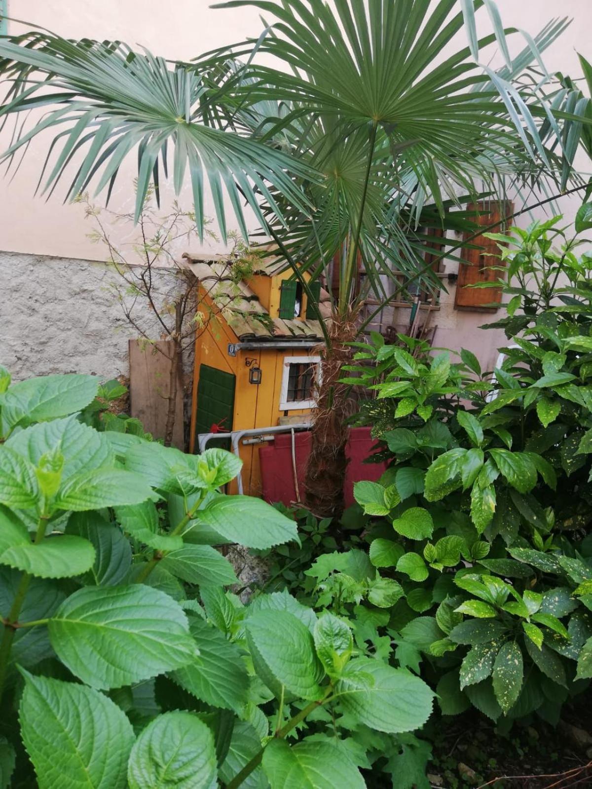 Guesthouse Kuca Na Sterne ロヴラン エクステリア 写真